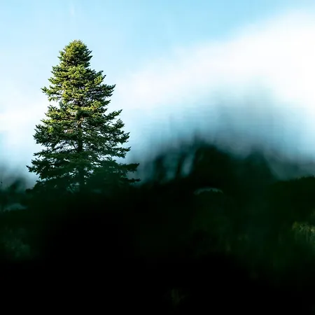 Soma Landscape *
