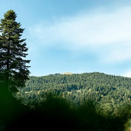 Soma Landscape * Pavliani